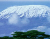 Snows Of Kilimanjaro