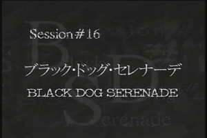 Session #16 - Black Dog Serenade