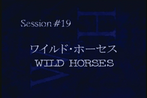 Session #19 - Wild Horses